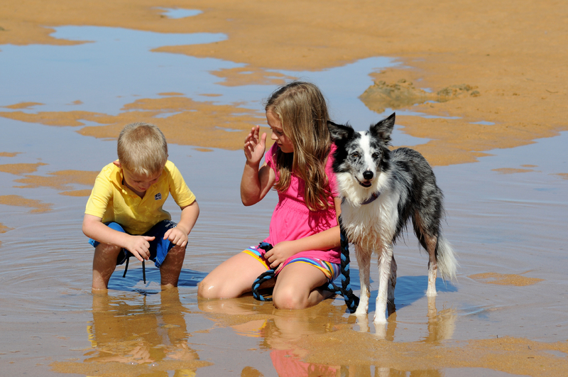 Advice for separated parents for the school summer holidays