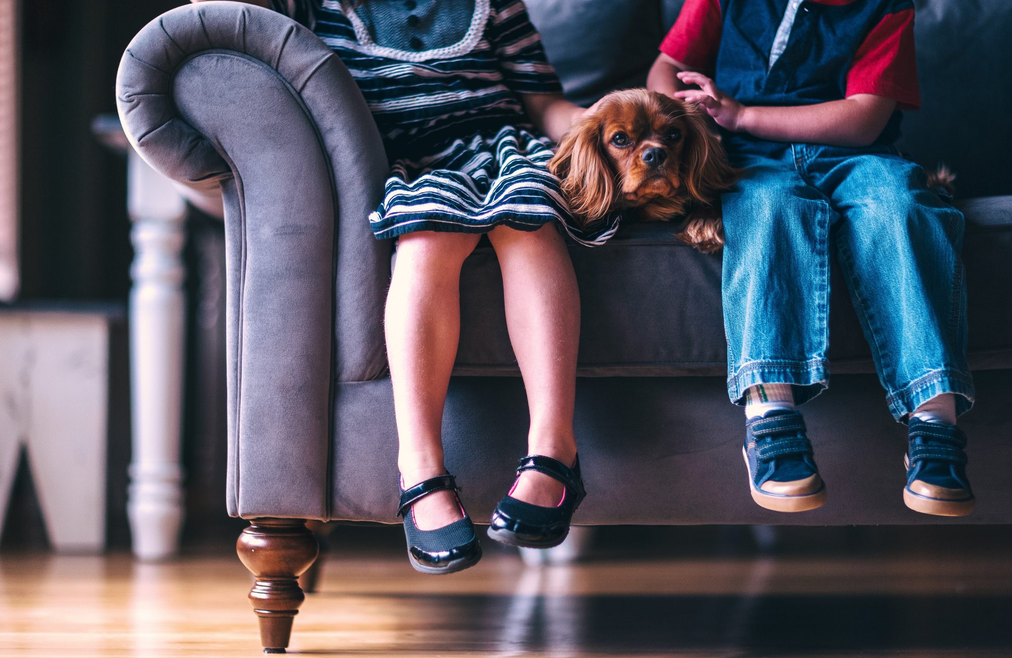 The Benefits of Pets For Children Coping with Divorce