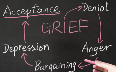 What is the divorce grief cycle?