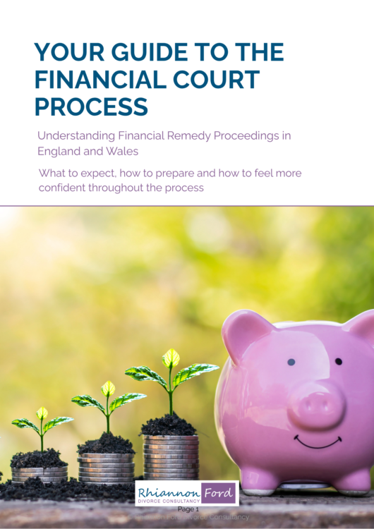 Your Guide to the Financial Court Process eBook